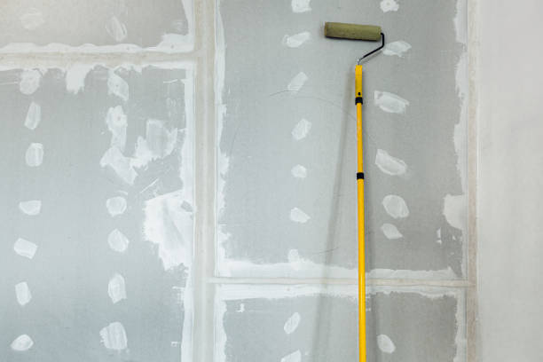 Best Mold Prevention Services  in Williamson, AZ