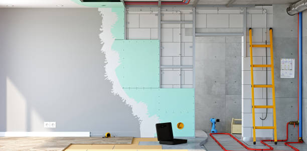 Biohazard Mold Removal in Williamson, AZ
