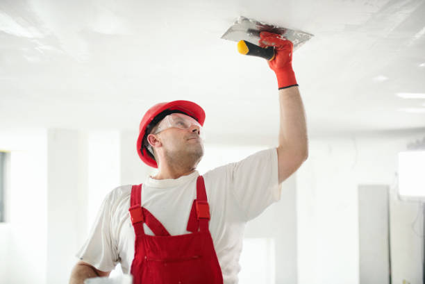 Reliable Williamson, AZ Mold Removal Solutions