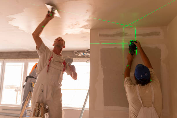 Best Asbestos and Lead Testing During Mold Inspection  in Williamson, AZ